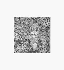 Hiding fox Art Board