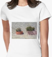 Cacti in flower pots Women's Fitted T-Shirt