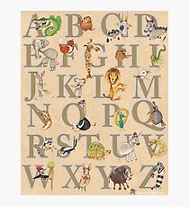 Animal ABCs Photographic Print