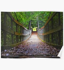 Suspension bridge Poster