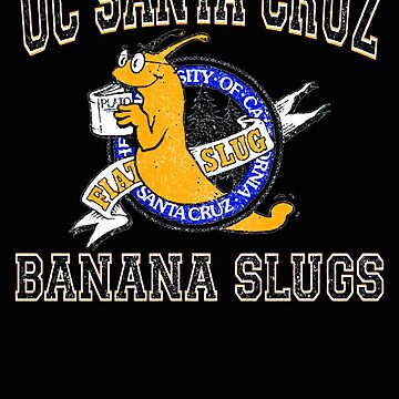 Vincent Vega Pulp Fiction uc Santa Cruz Banana s lugs