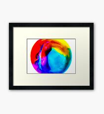 Climate Change Framed Print