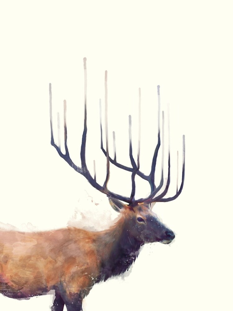 Elk // Reflect by AmyHamilton