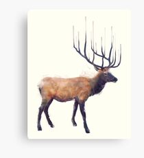 Elk // Reflect Canvas Print