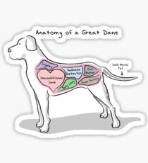 Anatomy of a Great Dane Sticker