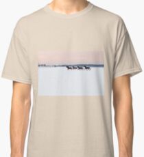 Four horses galloping on snowy paddock Classic T-Shirt