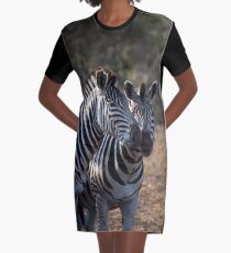 Zebra Graphic T-Shirt Dress