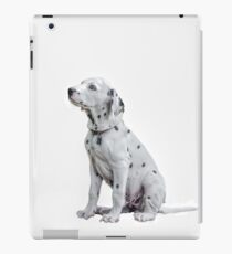 Vinilo o funda para iPad manchado