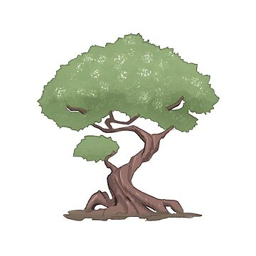 Miyagi Bonsai Tree Drawing