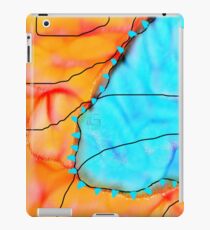 Cold Front iPad Case/Skin