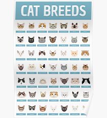 Cat Breeds Poster