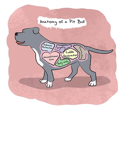 "Anatomy of a Pit Bull" Poster by MommySketchpad | Redbubble