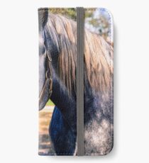 Equine Greeting iPhone Wallet/Case/Skin