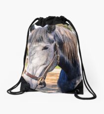 Equine Greeting Drawstring Bag