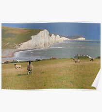 Sheep and the Seven Sisters - HDR Poster