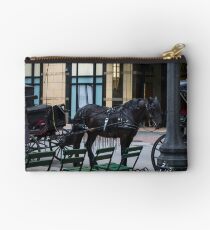 Black Beauty Studio Pouch