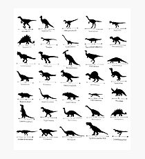 Whats Your Favourite Dinosaur? Photographic Print
