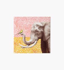 New Friends - Elephant & Bird Art Board Print