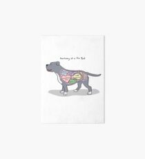 Anatomy of a Pit Bull Art Board
