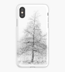 Fir Tree iPhone Case/Skin