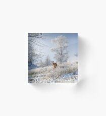 Glen Shiel Misty Winter Deer Acrylic Block