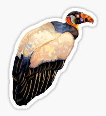 king vulture Sticker