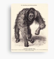 vector monkey Canvas Print