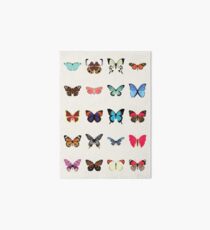 Butterflies Art Board