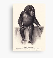 vector monkey child Canvas Print