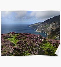 Coastal Heather Poster