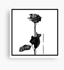 Blackbear Canvas Print