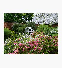 UVA GARDEN TOUR - II ^ Photographic Print