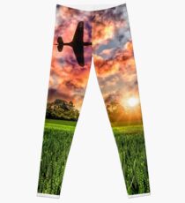 P40 Poppy Sunset Leggings