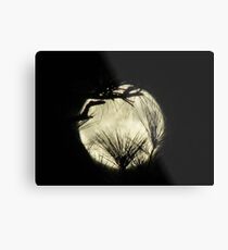 moony Metal Print