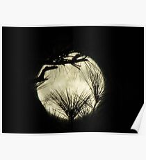 moony Poster