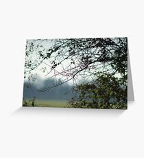 Bare Branches Greeting Card