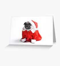 Santa Honey Greeting Card