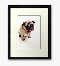 Is it christmas yet??... Framed Print