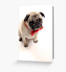 Is it christmas yet??... Greeting Card