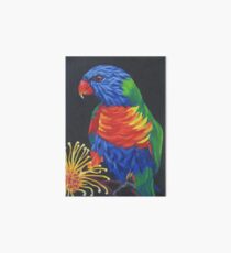 Rainbow Lorikeet #3 Art Board