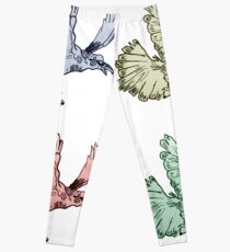 Corvus x4 Leggings