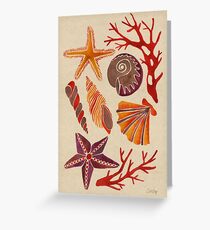 Seashells Greeting Card
