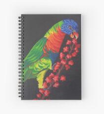 Rainbow Lorikeet #2 Spiral Notebook