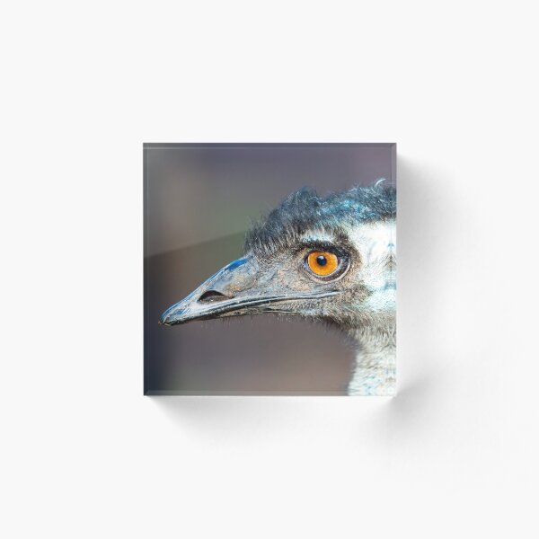 Australian Emu Acrylic Block