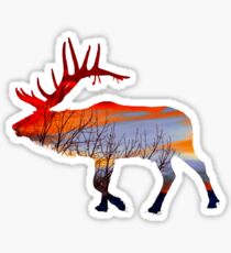Sunset elk Sticker