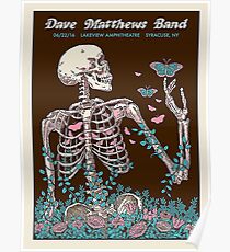 DAVE MATTEWS BAND - LAKEVIEW AMPHITHEATRE - SYRACUSE, NY Poster