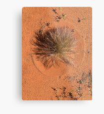 Crop circle Metal Print