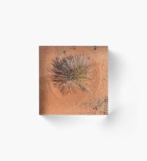 Crop circle Acrylic Block