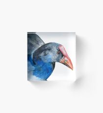 Pukeko Portrait Acrylic Block