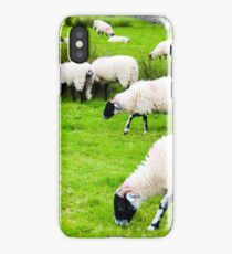View of English grazing sheep in countryside iPhone Case